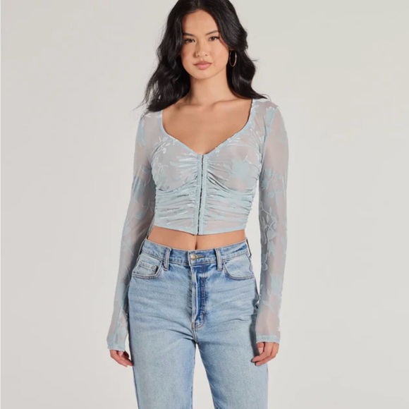 Windsor Tops - Windsor Flocked Floral Mesh Long Sleeve Corset Sky Blue Top NWOT